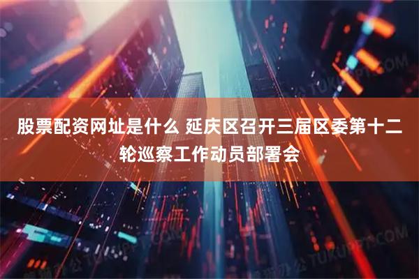 股票配资网址是什么 延庆区召开三届区委第十二轮巡察工作动员部署会